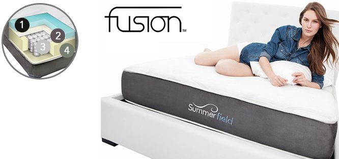 Fusion Fusion