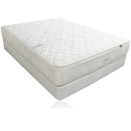 Summerfield Traditional Two Side Series Geneva Extra Firm Mattress