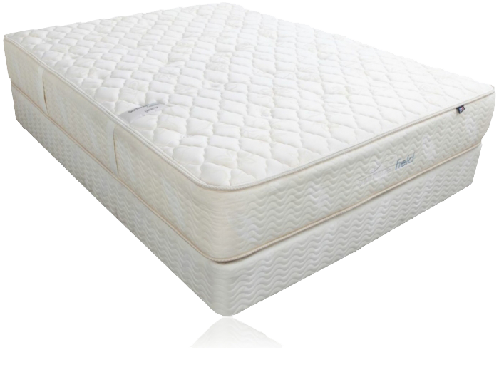 Summerfield Traditional Two Side Series Geneva Extra Firm Mattress